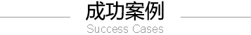 成功案例